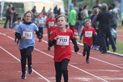 Öhringer Stadtlauf 2019