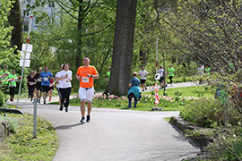 Öhringer Stadtlauf Freizeitlauf 2023