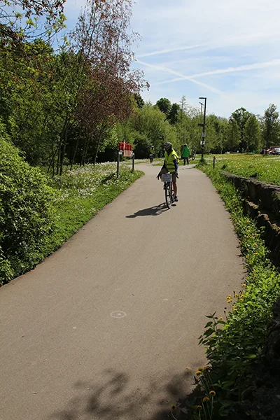 Öhringer Stadtlauf Alle(s) Inklusive Lauf 2025