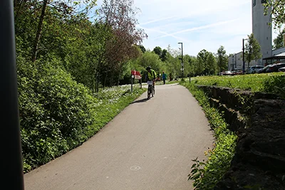 Öhringer Stadtlauf Alle(s) Inklusive Lauf 2025