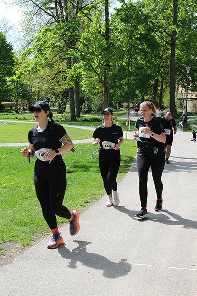 Öhringer Stadtlauf Freizeitlauf 2025