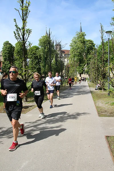 Öhringer Stadtlauf Freizeitlauf 2025