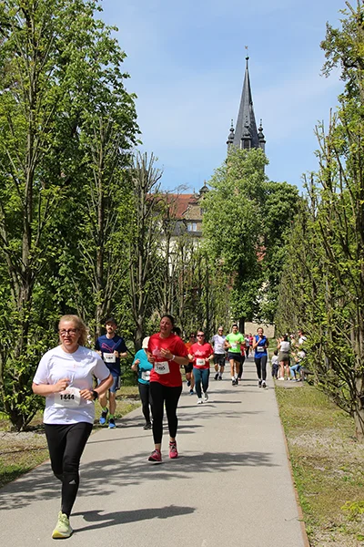 Öhringer Stadtlauf Freizeitlauf 2025