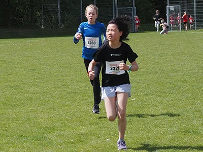 Öhringer Stadtlauf Gemischtes 2025