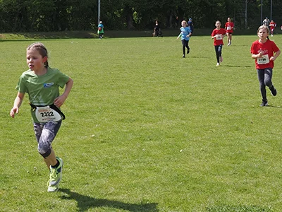 Öhringer Stadtlauf Gemischtes 2025