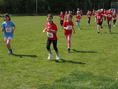 Öhringer Stadtlauf Gemischtes 2025