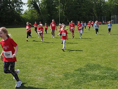 Öhringer Stadtlauf Gemischtes 2025