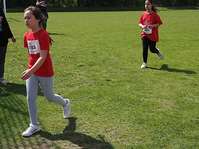Öhringer Stadtlauf Gemischtes 2025