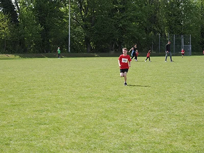 Öhringer Stadtlauf Gemischtes 2025