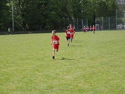 Öhringer Stadtlauf Gemischtes 2025