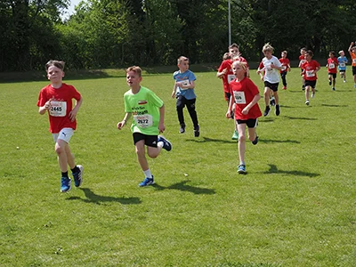 Öhringer Stadtlauf Gemischtes 2025