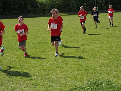 Öhringer Stadtlauf Gemischtes 2025