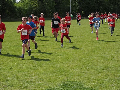 Öhringer Stadtlauf Gemischtes 2025