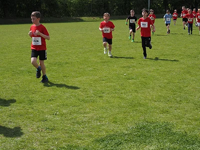 Öhringer Stadtlauf Gemischtes 2025