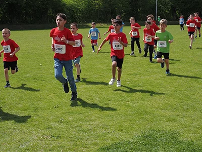 Öhringer Stadtlauf Gemischtes 2025