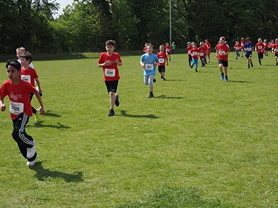 Öhringer Stadtlauf Gemischtes 2025