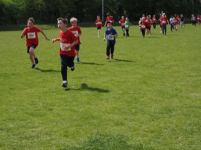 Öhringer Stadtlauf Gemischtes 2025
