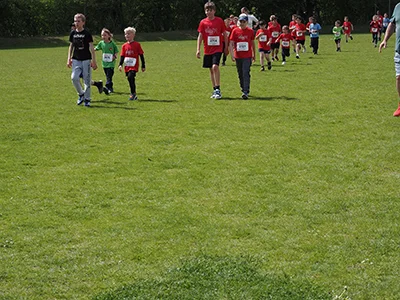 Öhringer Stadtlauf Gemischtes 2025
