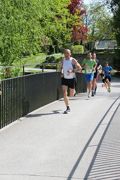 Öhringer Stadtlauf Hauptlauf 2025