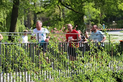 Öhringer Stadtlauf Hauptlauf 2025