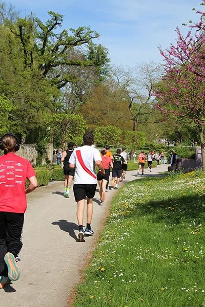 Öhringer Stadtlauf Hauptlauf 2025