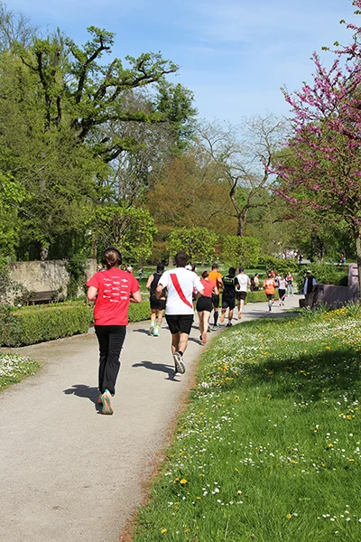 Öhringer Stadtlauf Hauptlauf 2025