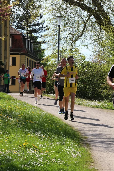 Öhringer Stadtlauf Hauptlauf 2025