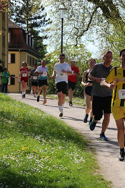 Öhringer Stadtlauf Hauptlauf 2025