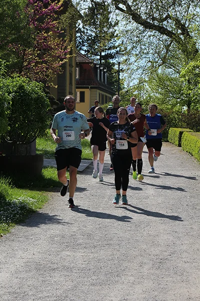 Öhringer Stadtlauf Hauptlauf 2025