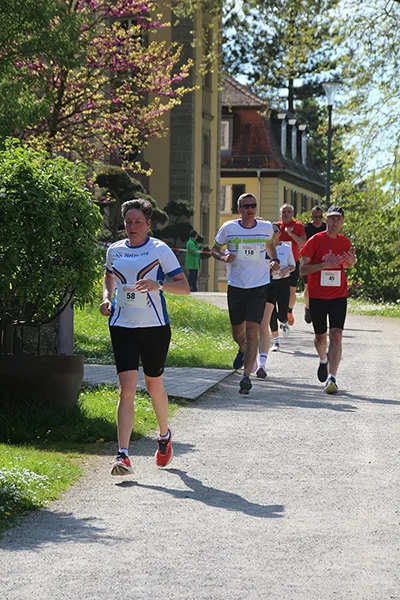 Öhringer Stadtlauf Hauptlauf 2025