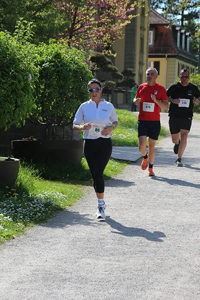 Öhringer Stadtlauf Hauptlauf 2025