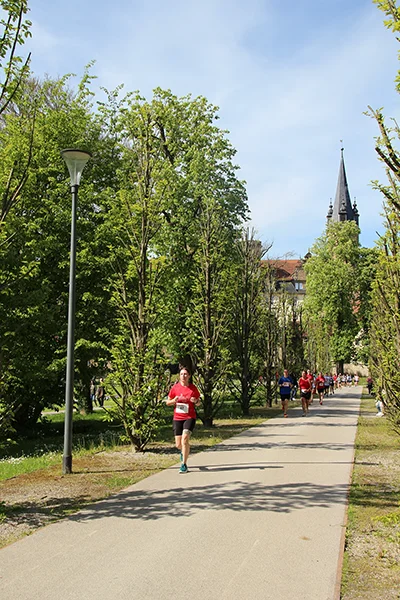 Öhringer Stadtlauf Hauptlauf 2025