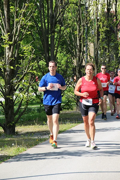 Öhringer Stadtlauf Hauptlauf 2025