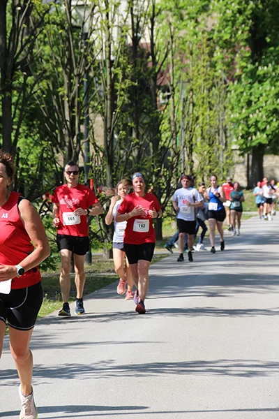 Öhringer Stadtlauf Hauptlauf 2025