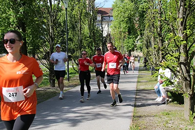 Öhringer Stadtlauf Hauptlauf 2025