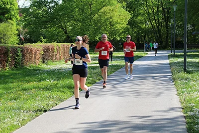 Öhringer Stadtlauf Hauptlauf 2025