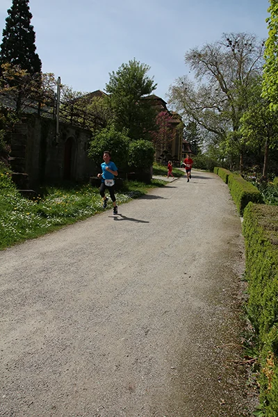 Öhringer Stadtlauf Jugendlauf 2025