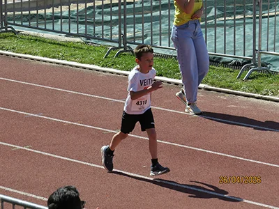 Öhringer Stadtlauf Alle(s) inklusive Lauf 2026