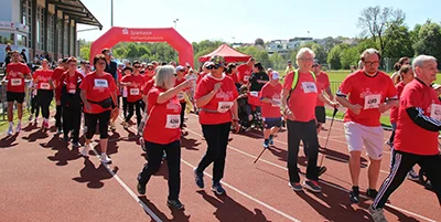 Öhringer Stadtlauf Alle(s) inklusive Lauf 2026