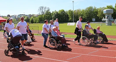 Öhringer Stadtlauf Alle(s) inklusive Lauf 2026