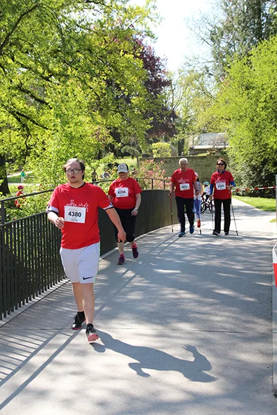 Öhringer Stadtlauf Alle(s) inklusive Lauf 2026
