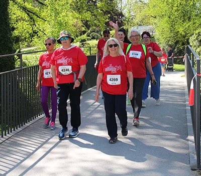 Öhringer Stadtlauf Alle(s) inklusive Lauf 2026