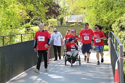 Öhringer Stadtlauf Alle(s) inklusive Lauf 2026
