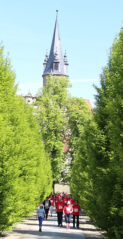 Öhringer Stadtlauf Alle(s) inklusive Lauf 2026