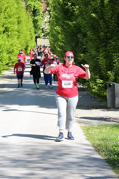 Öhringer Stadtlauf Alle(s) inklusive Lauf 2026