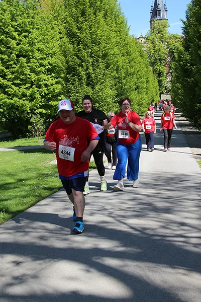 Öhringer Stadtlauf Alle(s) inklusive Lauf 2026