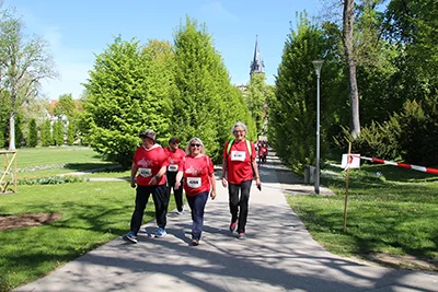 Öhringer Stadtlauf Alle(s) inklusive Lauf 2026