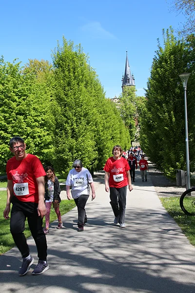 Öhringer Stadtlauf Alle(s) inklusive Lauf 2026