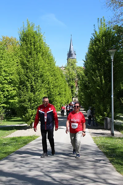 Öhringer Stadtlauf Alle(s) inklusive Lauf 2026