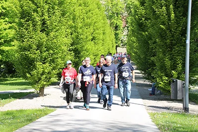 Öhringer Stadtlauf Alle(s) inklusive Lauf 2026